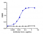 Anti-CSF2Rb / CD131 Reference Antibody (CSL311)