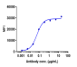 Anti-CSF2Rb / CD131 Reference Antibody (CSL311)