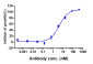 Anti-CSF2Rb / CD131 Reference Antibody (CSL311)