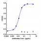 Anti-DLK1 Reference Antibody (LIV-1205)