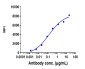 Anti-DLK1 Reference Antibody (LIV-1205)