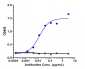 Anti-IL-18 Reference Antibody (Camoteskimab)