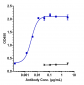 Anti-IL-3Ra / CD123 Reference Antibody (talacotuzumab)