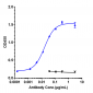 Anti-IL-5Ra/ CD125 Reference Antibody (benralizumab)