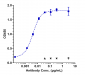 Anti-TPBG Reference Antibody (PF-06263507)