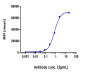 Anti-TPBG Reference Antibody (PF-06263507)