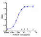 Anti-SIRPg / CD172g Reference Antibody (KWAR23)