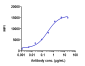 Anti-TNFSF7 / CD27L / CD70 Reference Antibody (cusatuzumab)