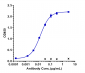 Anti-AXL / UFO Reference Antibody (tilvestamab)