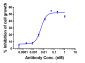 Anti-AXL / UFO Reference Antibody (tilvestamab)