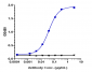 Anti-AXL / UFO Reference Antibody (enapotamab)