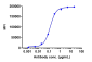 Anti-AXL / UFO Reference Antibody (enapotamab)