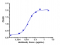 Anti-BTLA / CD272 Reference Antibody (icatolimab)