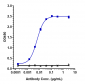 Anti-C1s Reference Antibody (sutimlimab)