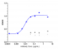 Anti-Complement C5aR1 Reference Antibody (avdoralimab)