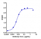 Anti-Complement C5 Reference Antibody (ravulizumab)