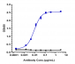 Anti-Siglec-2 / CD22 Reference Antibody (pinatuzumab)