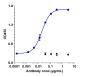 Anti-TNFRSF7 / CD27 Reference Antibody (varlilumab)