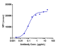 Anti-TNFRSF7 / CD27 Reference Antibody (varlilumab)