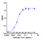 Anti-TNFRSF8 / CD30 Reference Antibody (brentuximab)