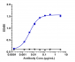 Anti-Siglec-3 / CD33 Reference Antibody (Gemtuzumab)