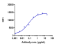 Anti-TNFSF7 / CD27L / CD70 Reference Antibody (vorsetuzumab)