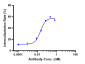 Anti-TNFSF7 / CD27L / CD70 Reference Antibody (vorsetuzumab)