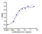 Anti-CD79b Reference Antibody (polatuzumab)