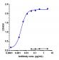 Anti-CDCP1 / CD318 Reference Antibody (38 E11)