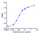 Anti-CEACAM5 / CEA / CD66e Reference Antibody (labetuzumab)