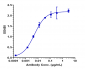 Anti-CEACAM6 / CD66c Reference Antibody (tinurilimab)