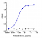 Anti-CEACAM5 / CEA / CD66e Reference Antibody (tusamitamab-MMAE)