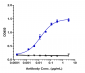 Anti-DLL3 Reference Antibody (rovalpituzumab)