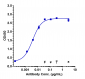 Anti-DLL4 Reference Antibody (enoticumab)