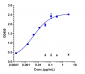 Anti-FGFR3 / CD333 Reference Antibody (vofatamab)