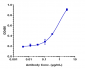 Anti-FGFR4 / CD334 Reference Antibody (U3-1784)