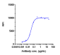 Anti-FOLR1 / FRA Reference Antibody (mirvetuximab)