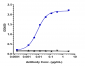 Anti-FOLR1 / FRA Reference Antibody (farletuzumab-MMAE)