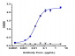 Anti-FOLR1 / FRA Reference Antibody (mirvetuximab-MMAE)