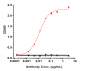 Anti-FOLR1 / FRA Reference Antibody (mirvetuximab-MMAE)