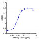 Anti-CSF2 / GM-CSF Reference Antibody (namilumab)