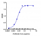 Anti-ERBB2 / HER2 / CD340 Reference Antibody (trastuzumab)