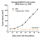 Anti-ERBB2 / HER2 / CD340 Reference Antibody (trastuzumab)