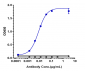 Anti-ERBB2 / HER2 / CD340 Reference Antibody (trastuzumab-MMAE)