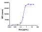 Anti-IL-31Ra Reference Antibody (nemolizumab)