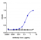 Anti-IL-3Ra / CD123 Reference Antibody (talacotuzumab-MMAE)