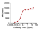 Anti-LILRA4 / ILT7 / CD85g Reference Antibody (daxdilimab)