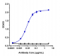 Anti- FcRH5 / IRTA2 / CD307e Reference Antibody (cevostamab)