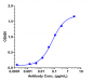 Anti-B7-H4 / VTCN1 Reference Antibody (Millennium patent anti-B7-H4)