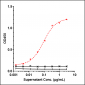 Anti-CD19 Reference Antibody (tafasitamab)